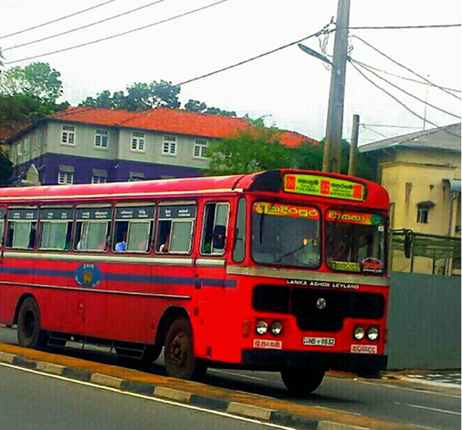 Local Bus Activities
